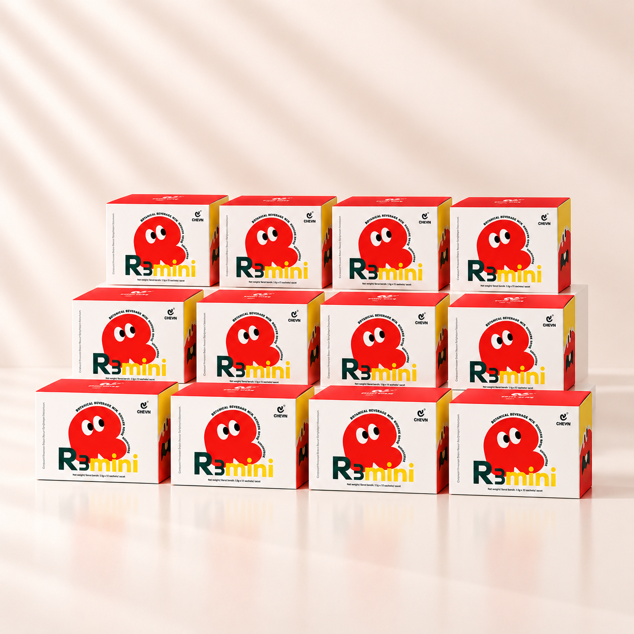 R3 mini product_12 box v2